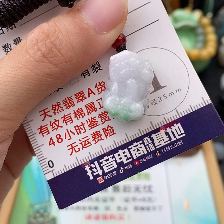 翡翠未镶嵌颈饰貔貅