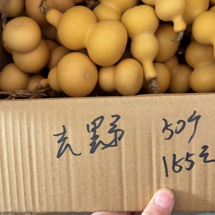 去***～大叶紫檀（黑酸枝木类）