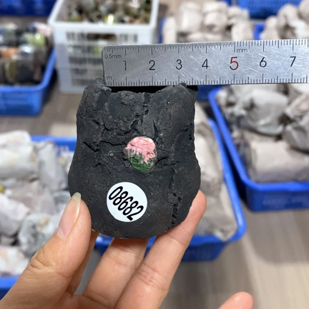 花盆拍3送一个小礼物
