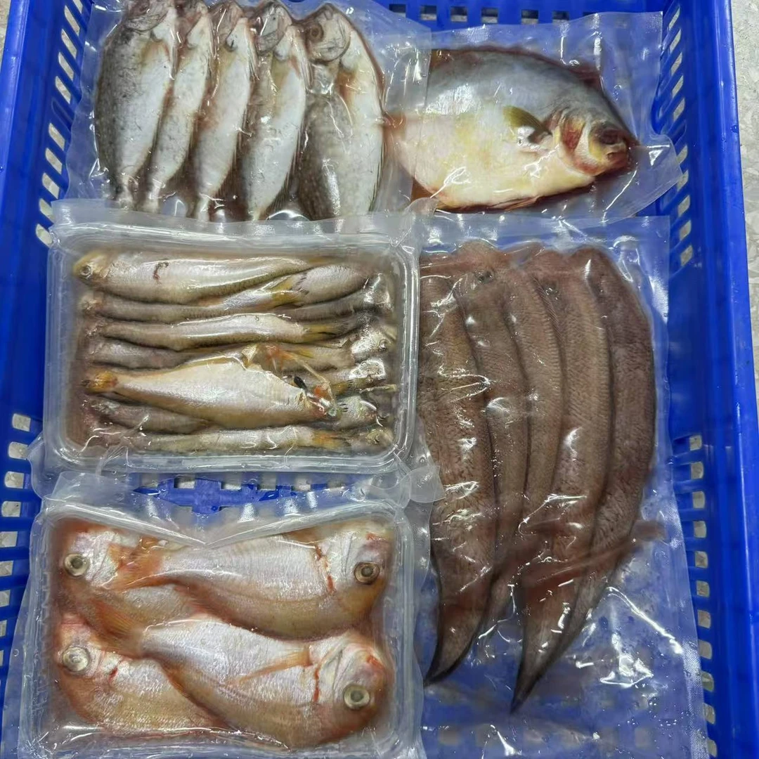 浅海鱼类组合套餐139