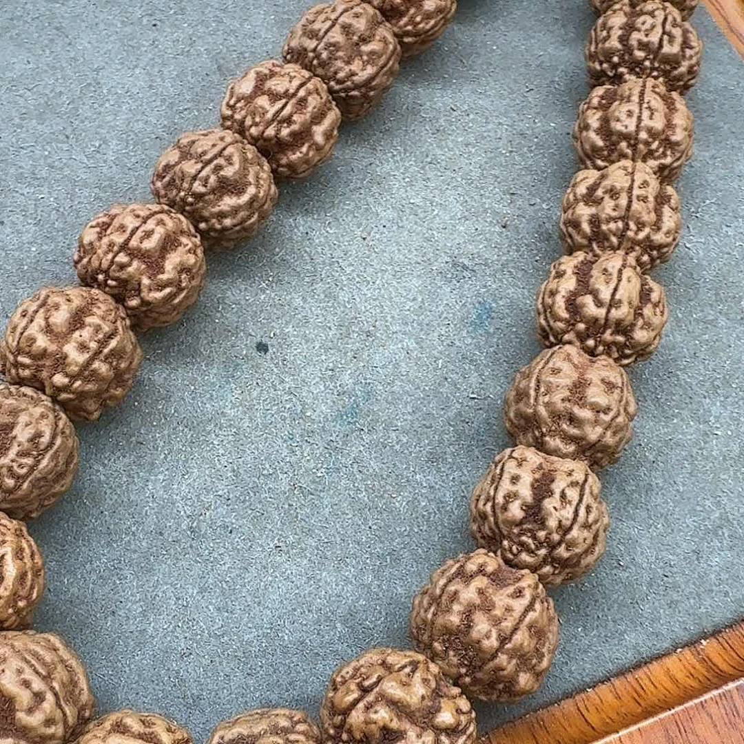 金刚菩提吊坠✨****⁶帝王花 18.2-18.4×16.2