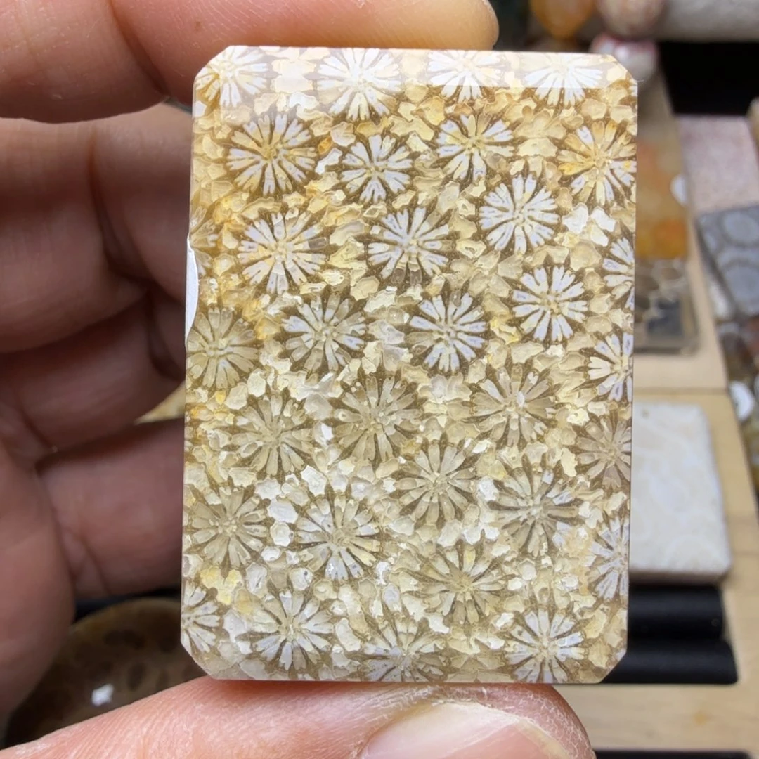 硅化玉未镶嵌纯天然色有机玉石保真色