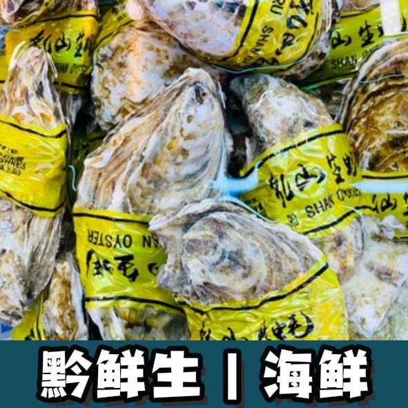 【7+生蚝】7+乳山生蚝一个 (一只300～500g)