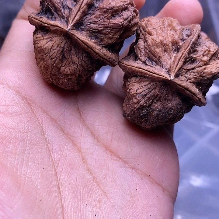 文玩核桃把件   91