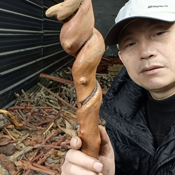 稳定木?****?贵州檬子木   铁马鞭   根艺  半成品