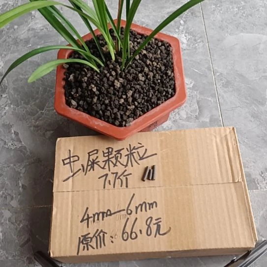 半***舍兰菌黑山土虫屎颗粒7.7斤