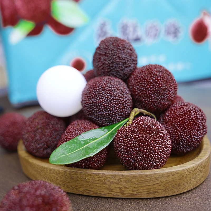 仙居东魁杨梅新鲜现摘当季水果当天采摘当天发货