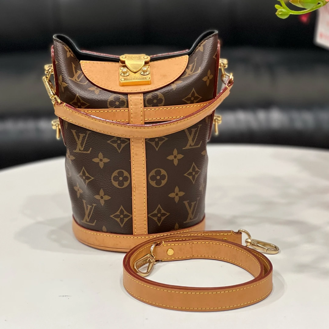 95新 LouisVuitton/路易威登 经典老花薯条斜挎包/芯片