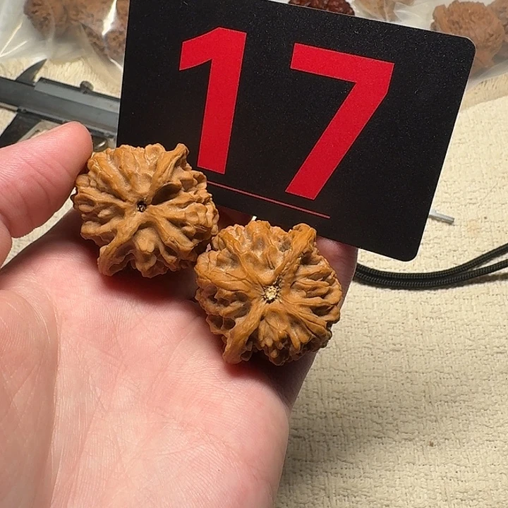 文玩麻核桃36尺寸苹果圆