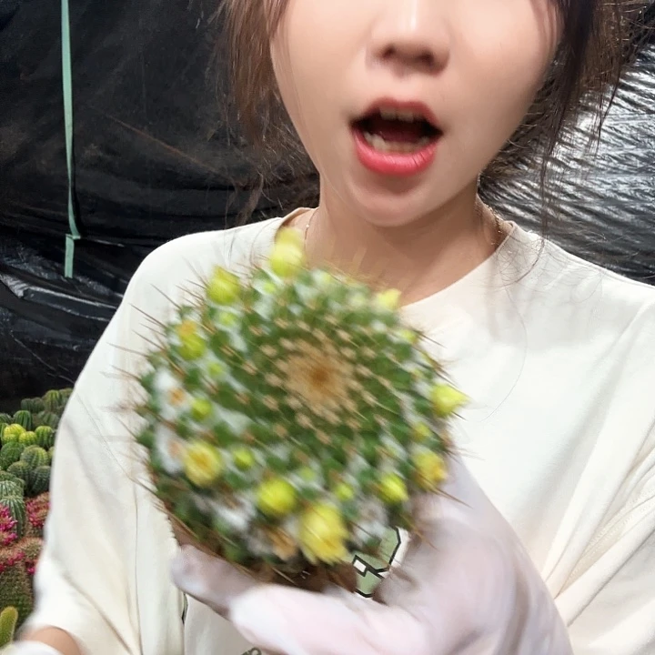 金洋丸11111111111