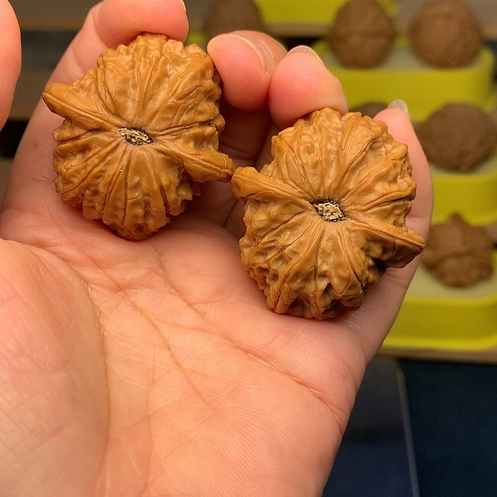 文玩核桃把件血麒麟