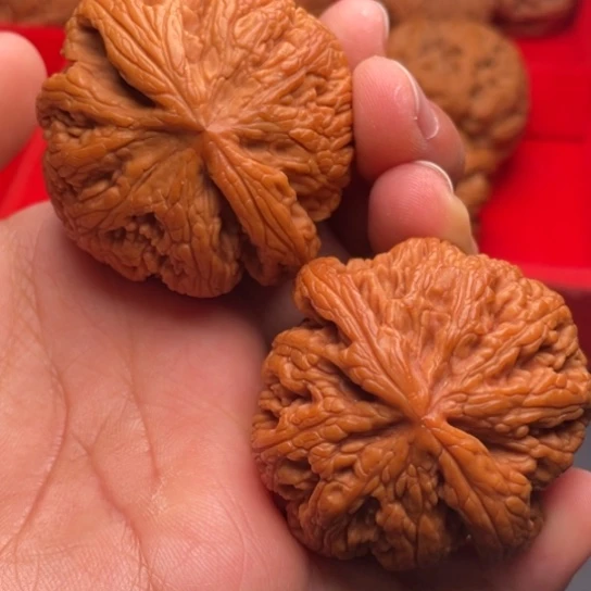 文玩核桃把件秦岭山脉核桃