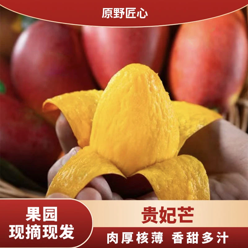 正宗广西～贵妃芒/新鲜采摘/夏季水果/香甜多汁/核薄肉厚/