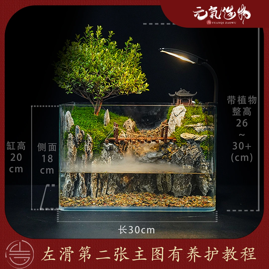 【鹤隐】雾隐-烟雨之涧—带灯流水小叶赤楠成品【尺寸：30*18*20】