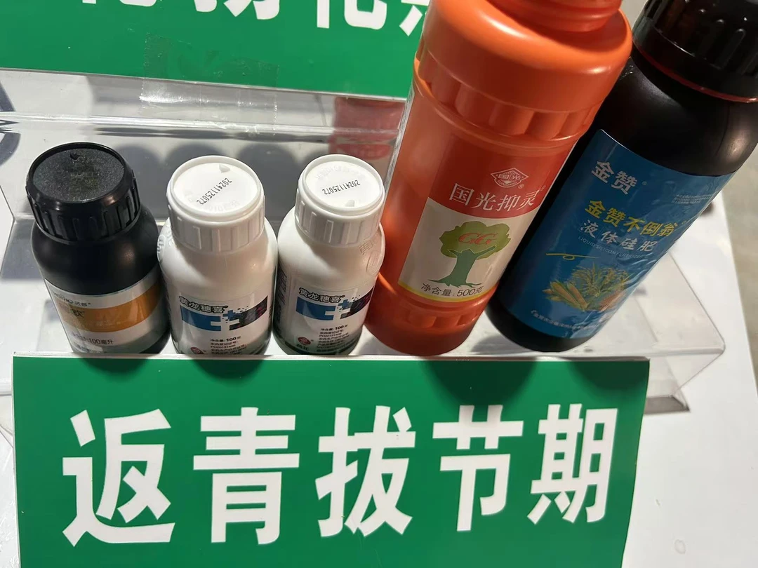 小麦返青拔节期高产植物方案植物肥料