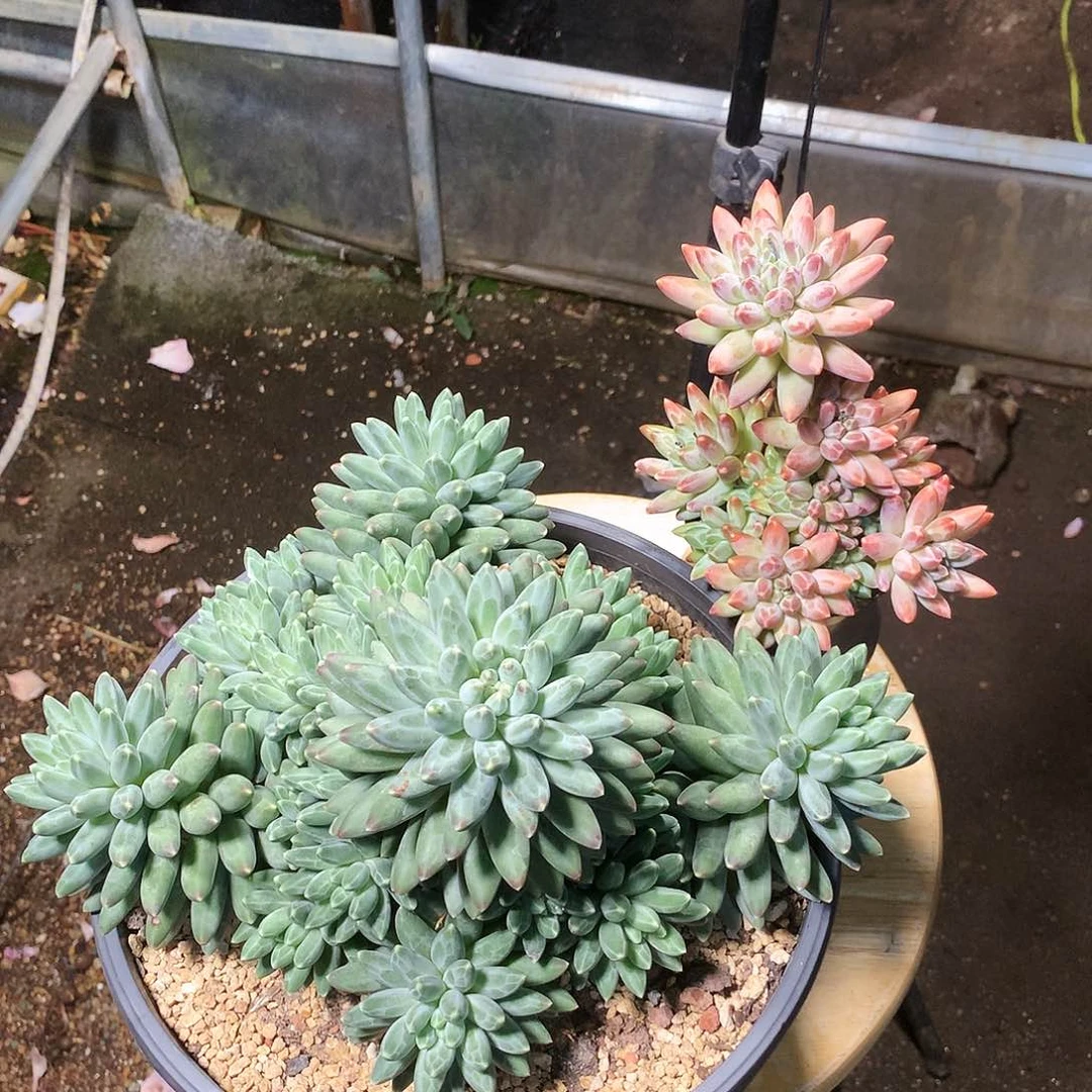 完全开放是否是我们生命当中所有
