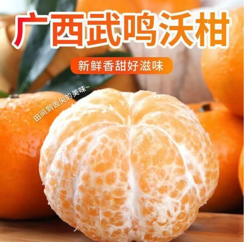 【XY文化 】广西武鸣沃柑新鲜当季水果桔子柑橘 产地直发坏果包赔