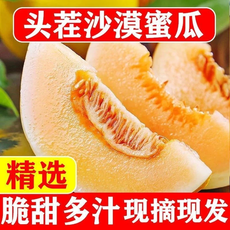 甘肃民勤沙漠头茬黄河蜜瓜新鲜水果软糯香甜黄皮黄肉甜瓜