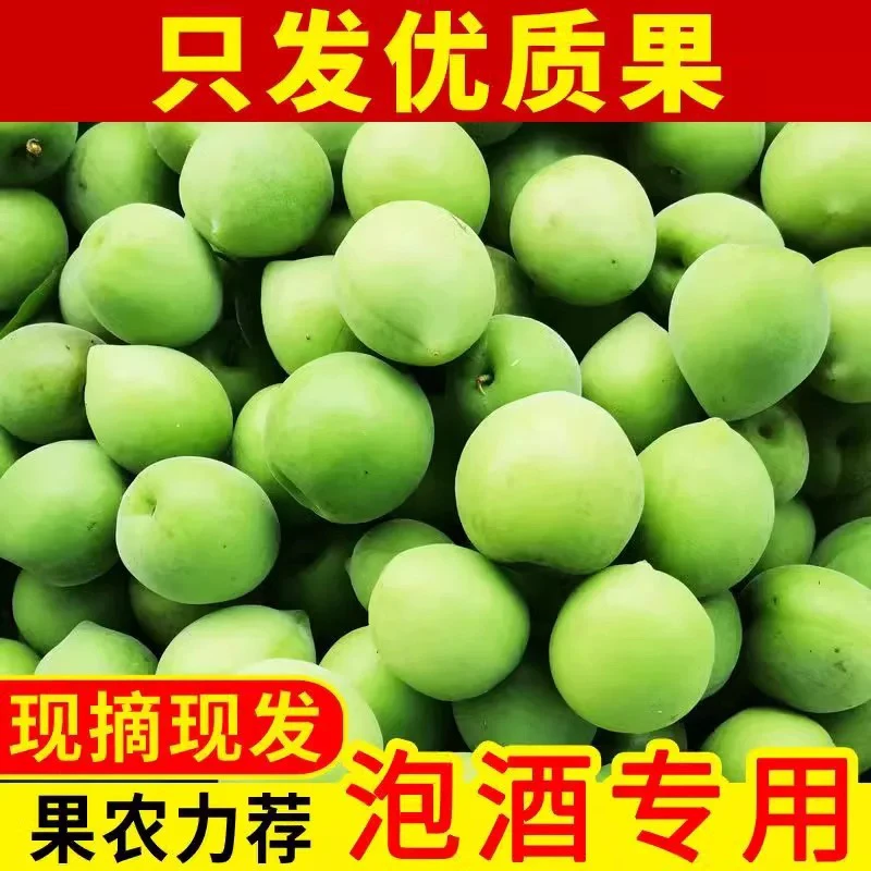 2025年诏安富硒地青梅泡酒青梅酵素青梅露青梅