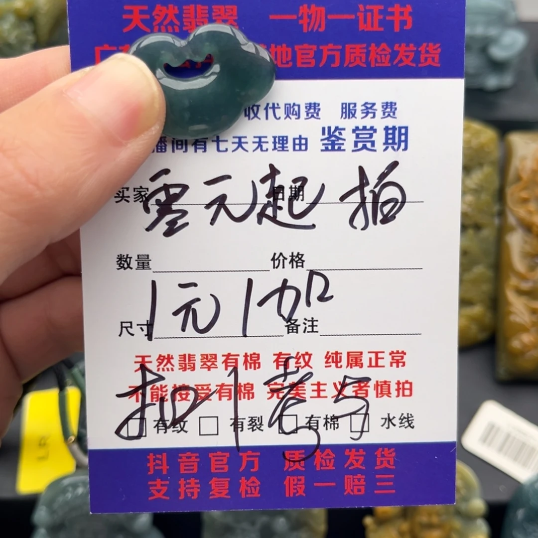 翡翠未镶嵌颈饰平安