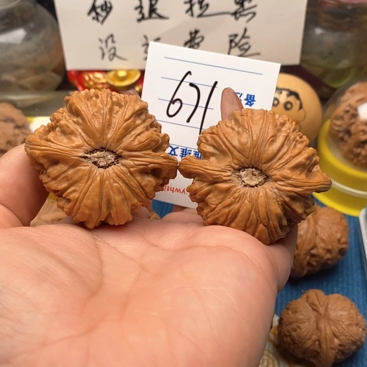 文玩核桃把件671号48卡姿兰大眼睛白狮子