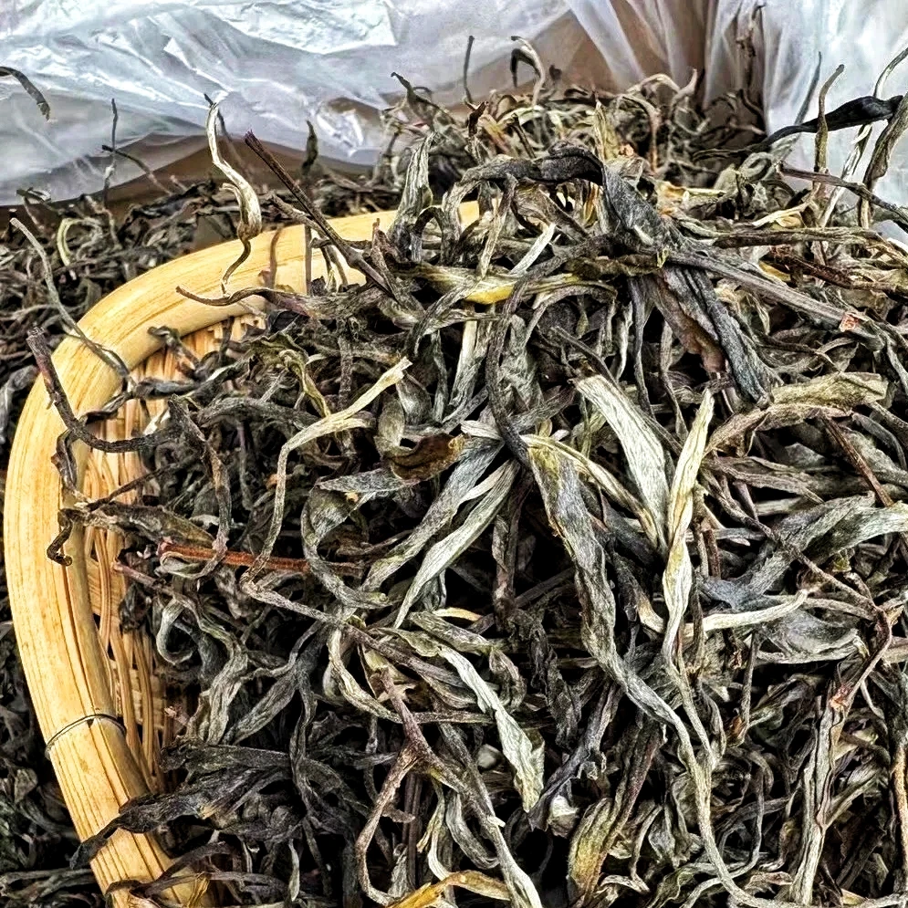 薄荷塘2025年乔木大树核心产区散茶生茶