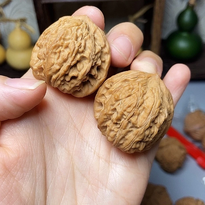 青***芒大叶紫檀（黑酸枝木类）买一送一野生果