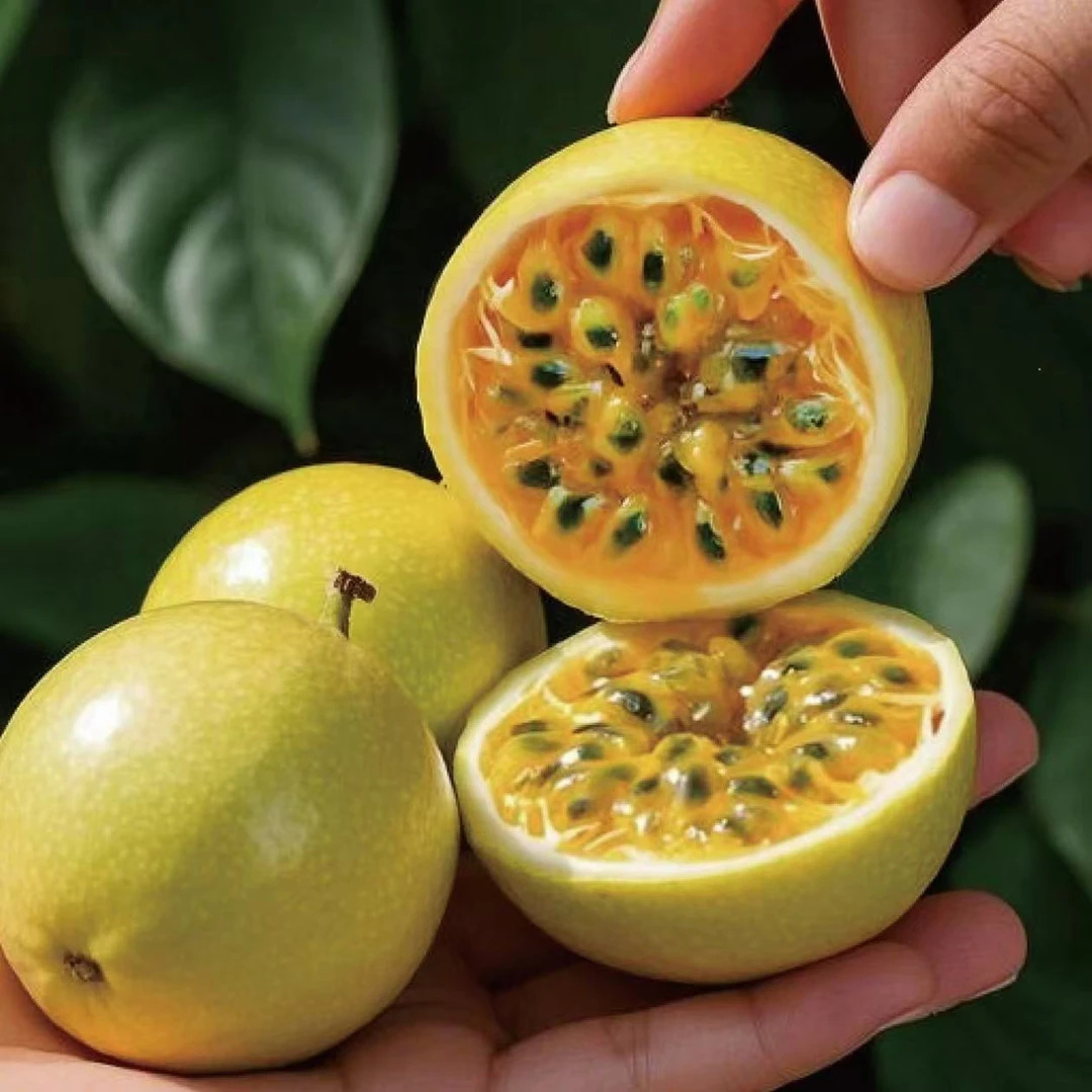 正宗新鲜钦蜜9号百香果香甜饱满多汁营养丰富孕妈妈优选维C水果