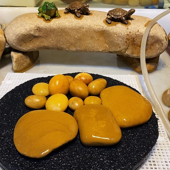 【闪购商品】乌龟爬台石