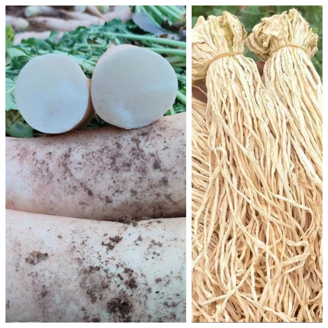 （萝卜组合）云南天申堂新鲜萝卜5斤+200g萝卜条自然晾晒