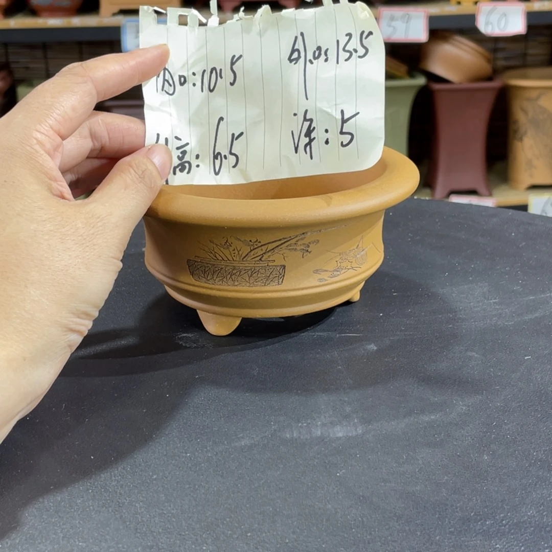 紫砂花盆在干嘛你