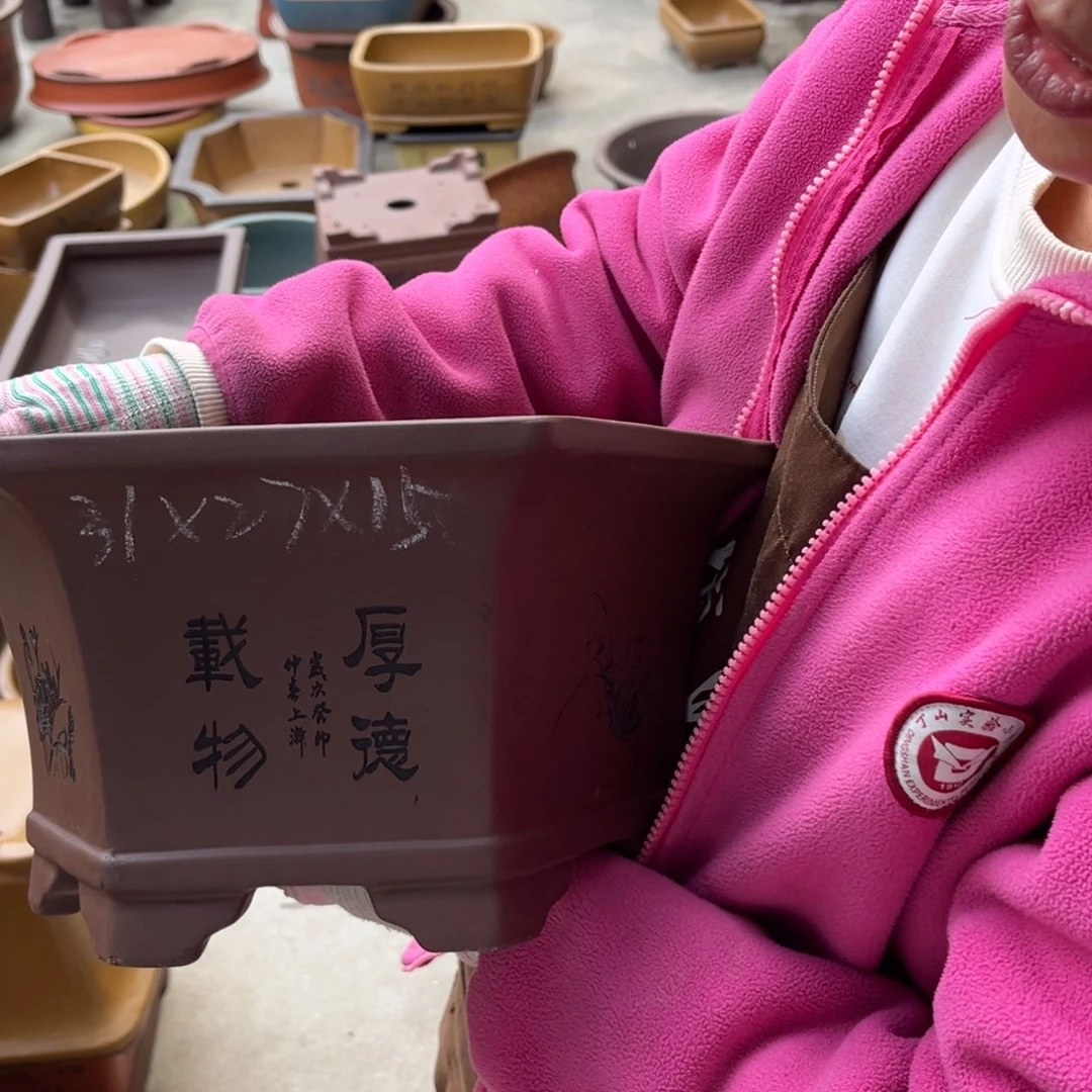 紫砂花盆盆景艺术