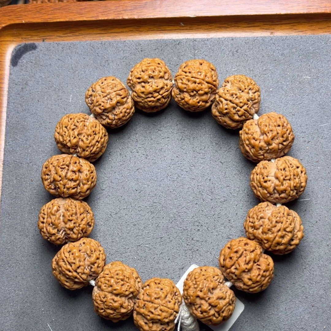 菩提30号金刚菩提蜂窝梅花21