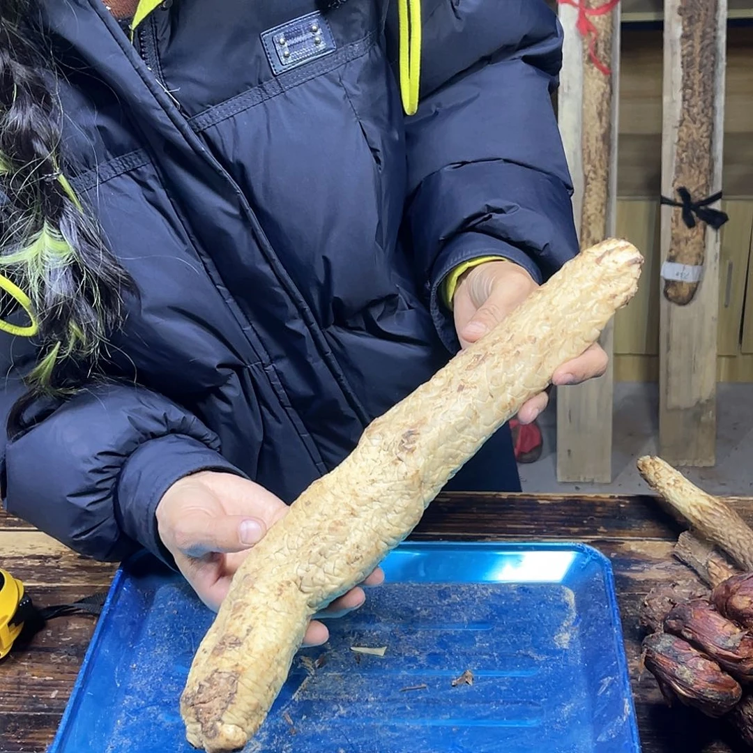 中国大陆油性很好1.3斤41厘米