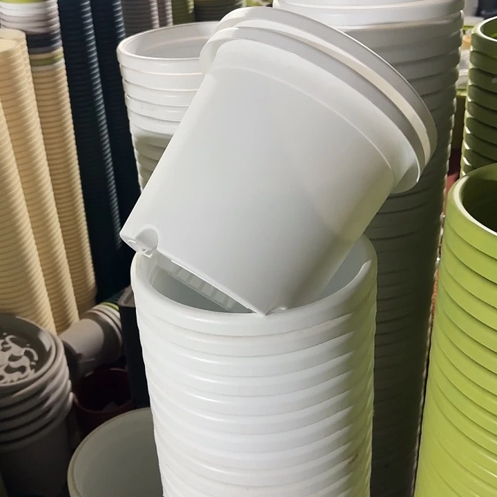 四季5#口径29白色10个无托