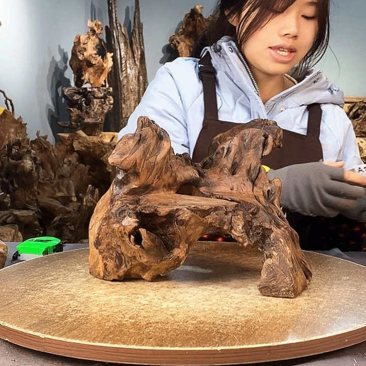 茶盏甜**?153。株木随行根艺