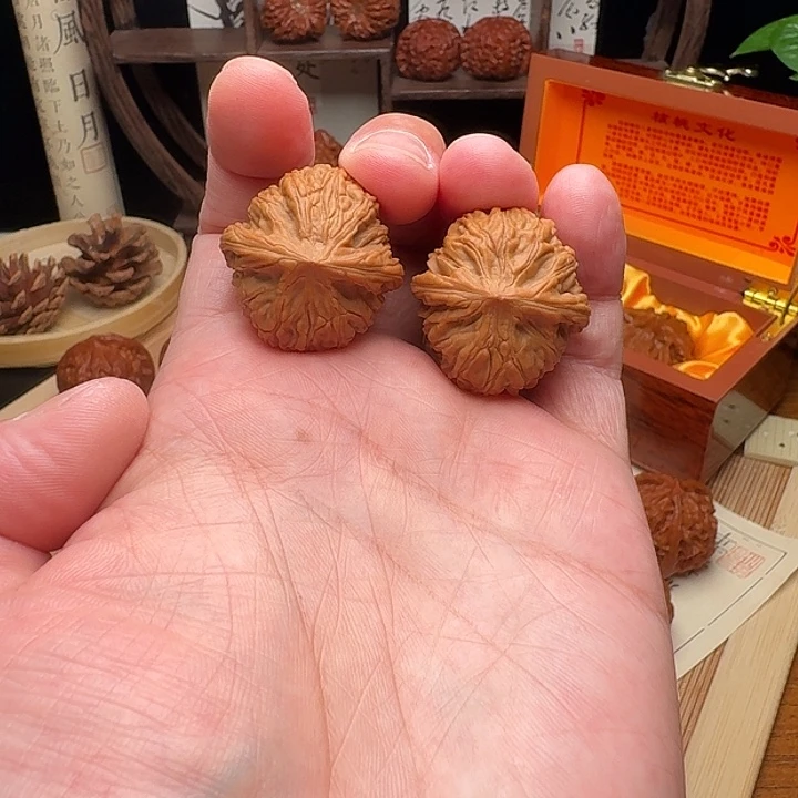 核桃手串/手链1**28+全品白狮子