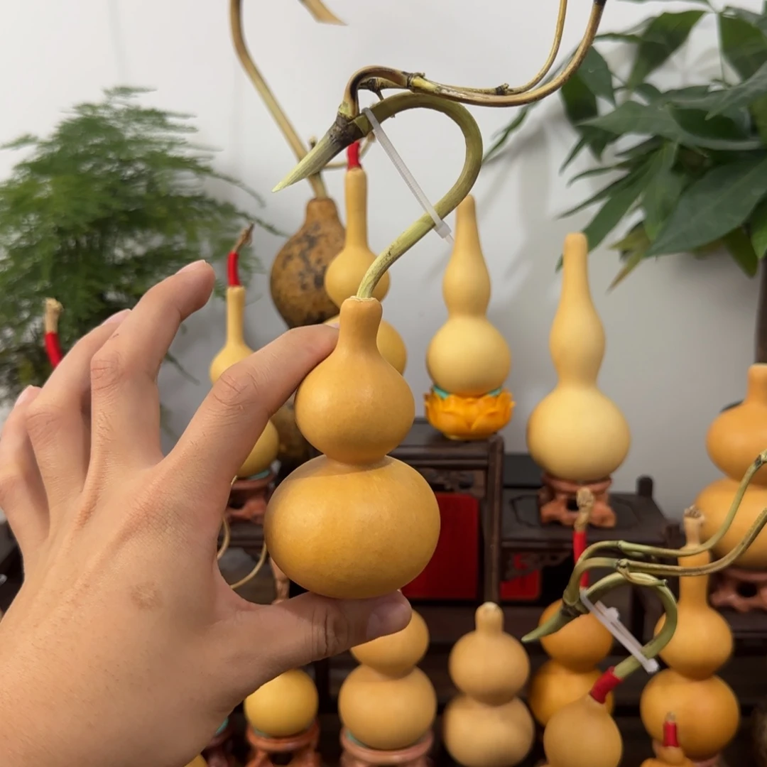 阿里健康快快乐乐健健康康快快乐乐