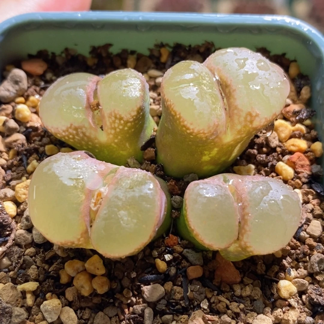 好看好看好看好看