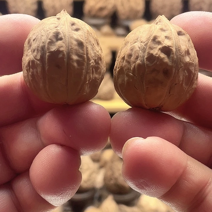 把件文玩核桃光头强35