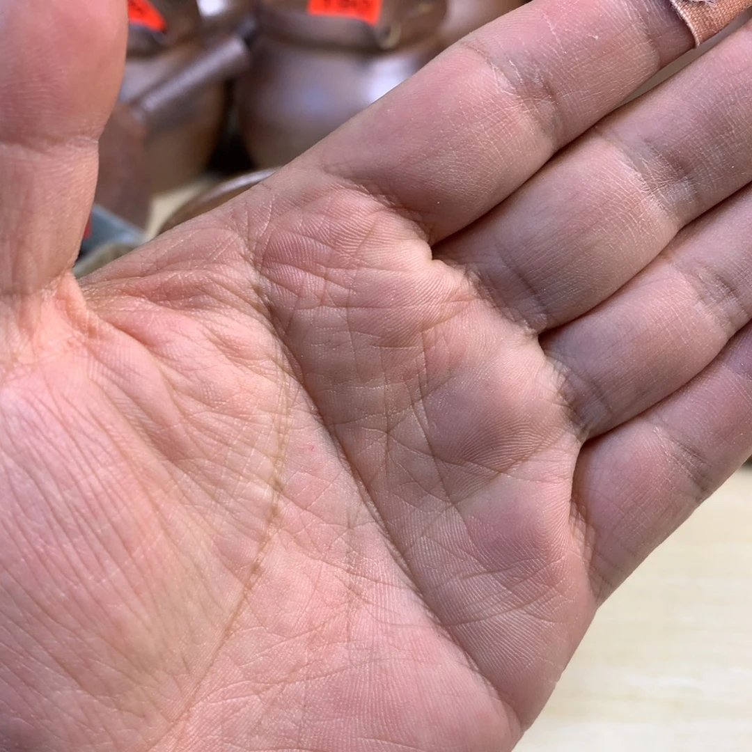 直播间一物一拍专拍