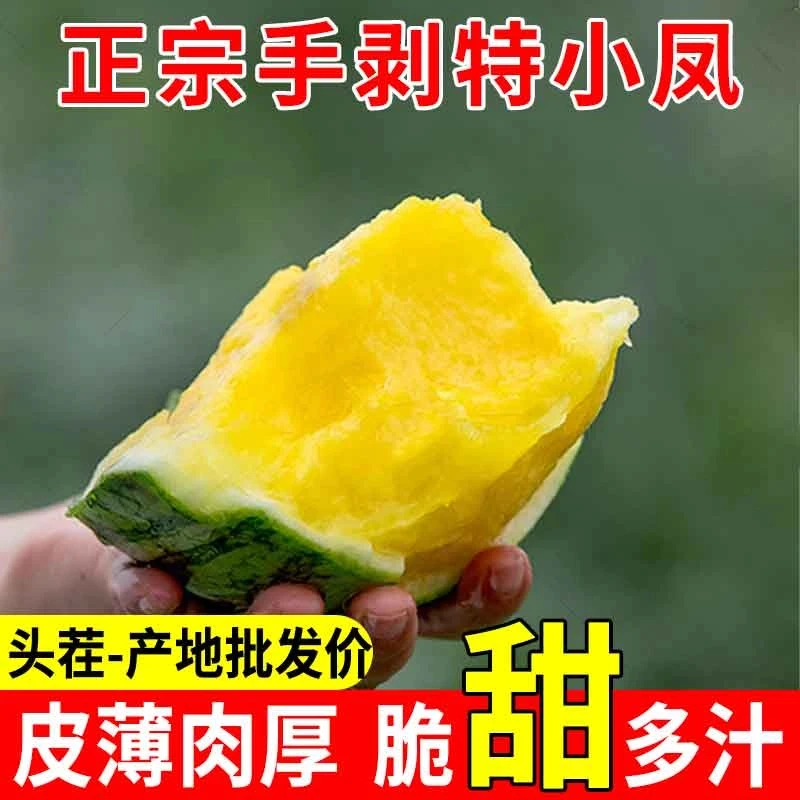 【新鲜现摘】特小凤黄瓤西瓜水果新鲜黄心黄肉西瓜整箱包邮当季应季