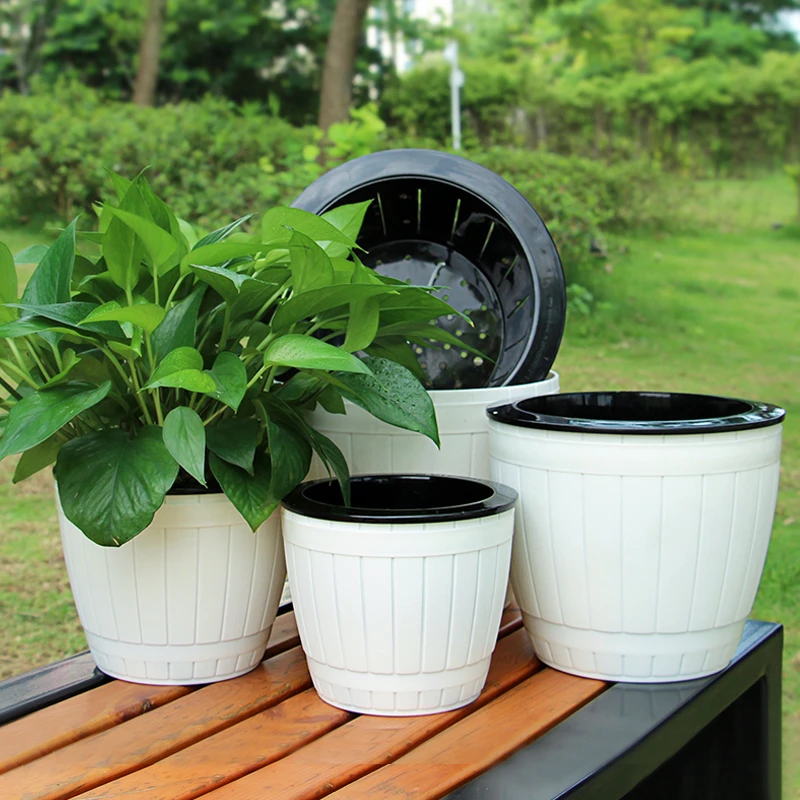 朱顶红专用花盆高颜值仿木纹大号花盆发根快多肉花盆懒人花盆木桶