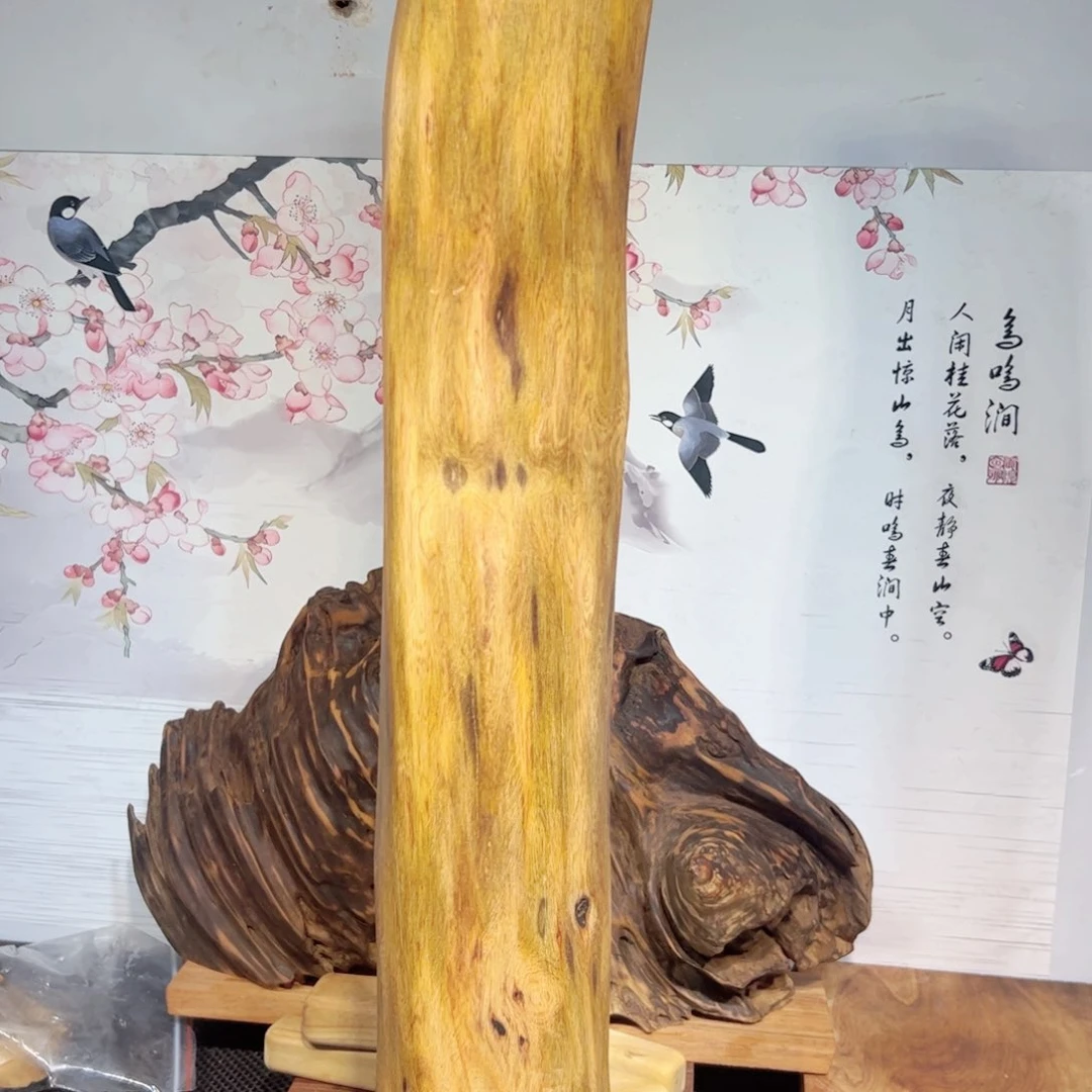 a***d木直播间一物自拍