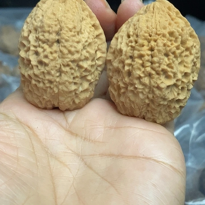 文玩核桃把件云南铁核桃基地78
