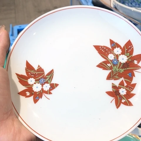 【闪购商品】瓷片瓷片瓷片瓷片