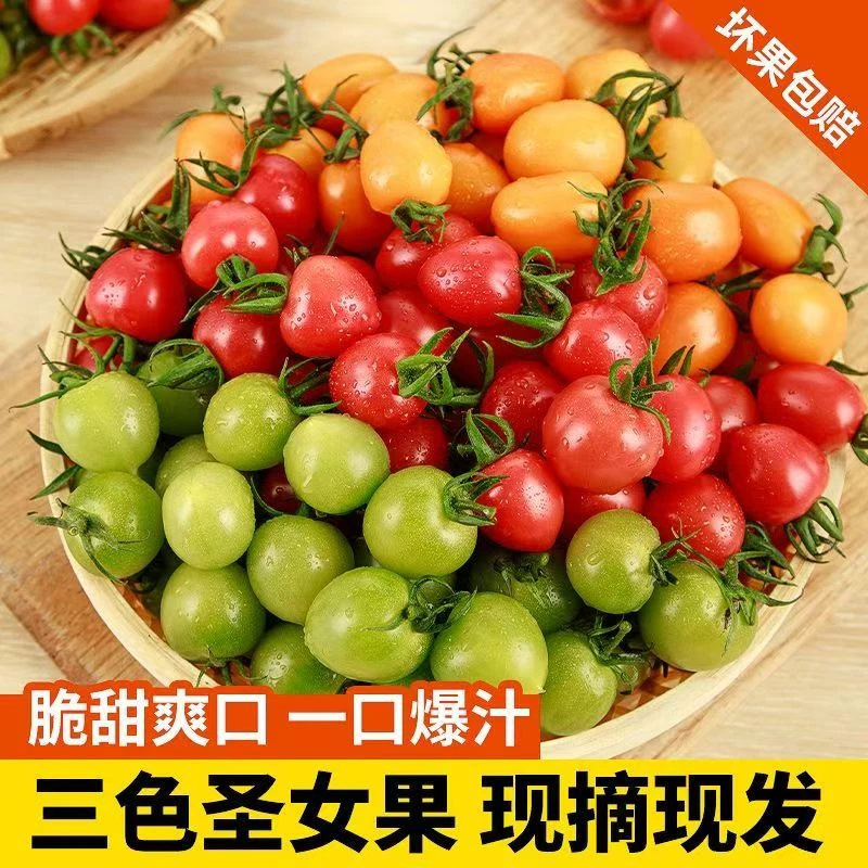 【精选】三色小番茄混合装3斤新鲜圣女果水果小番茄酸甜爆汁
