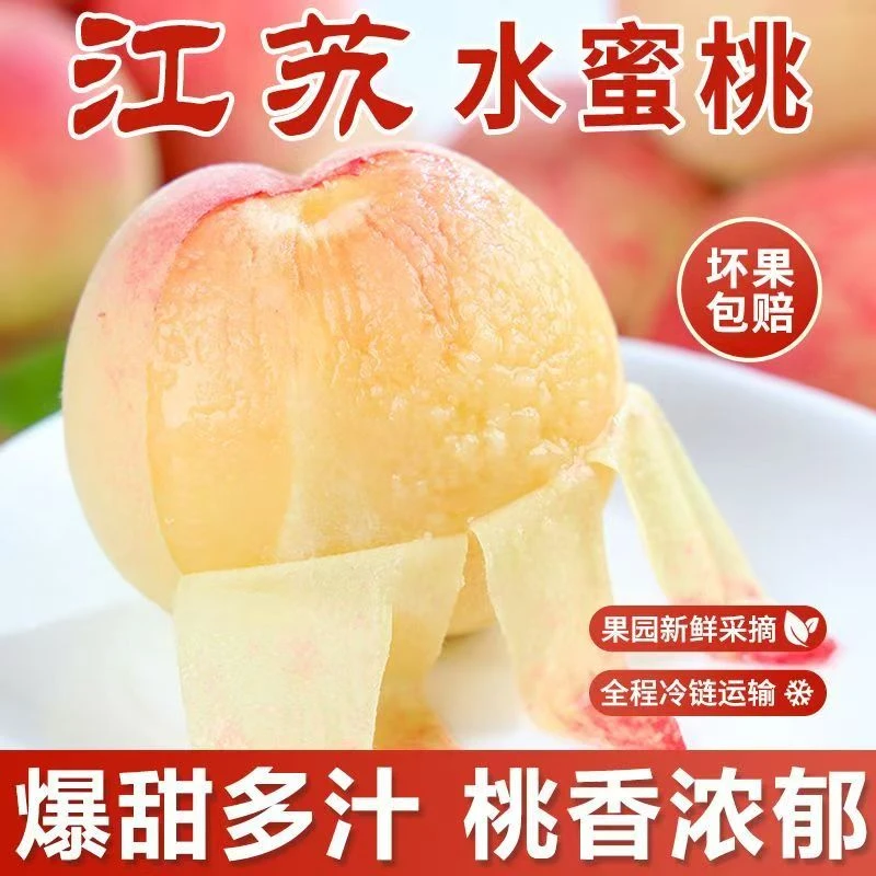 第二箱半价【礼盒装】露天头茬水蜜桃新鲜现摘脆软两吃当季水果