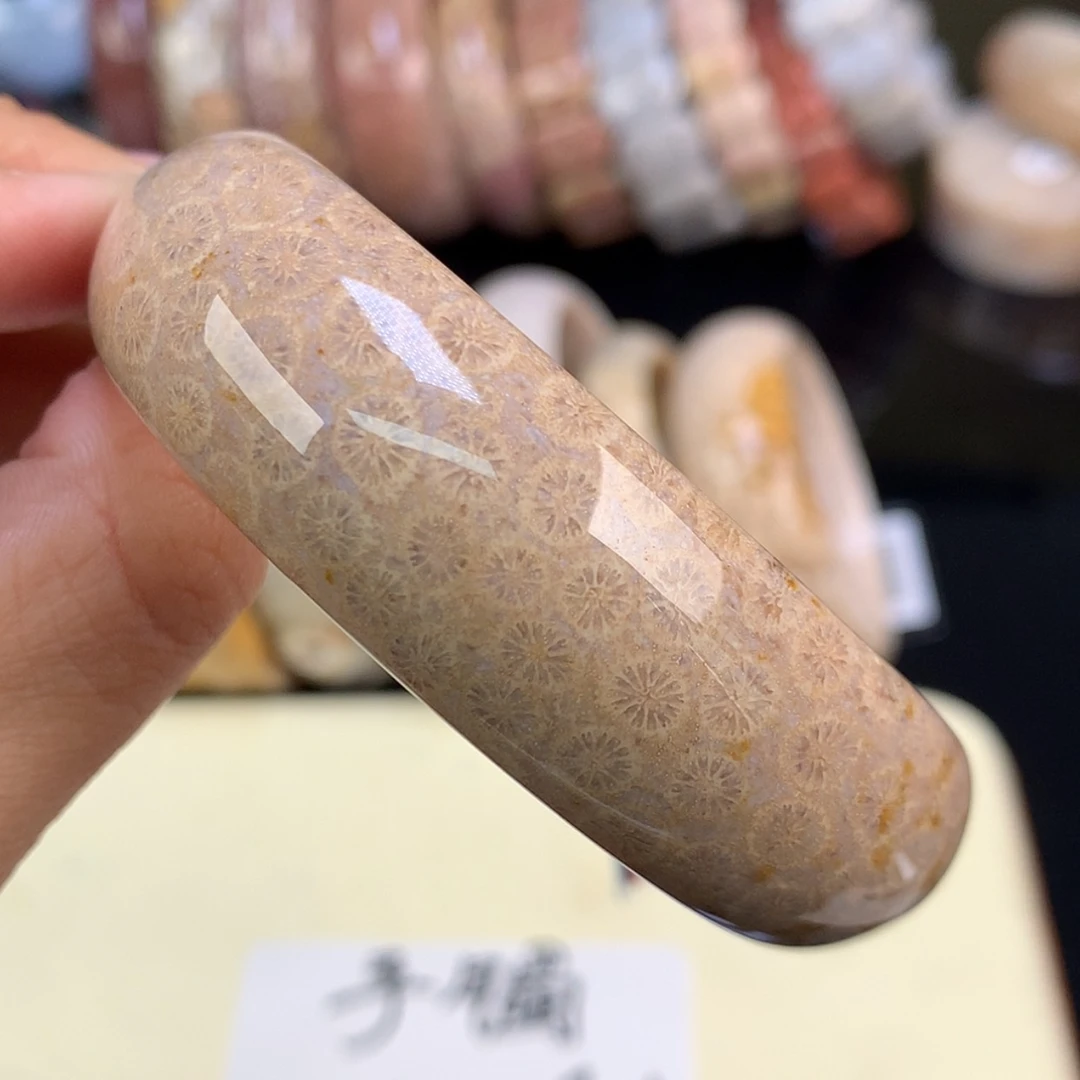 【闪购商品】颈饰未镶嵌硅化珊瑚（珊瑚玉）73号精美手镯58.8圈