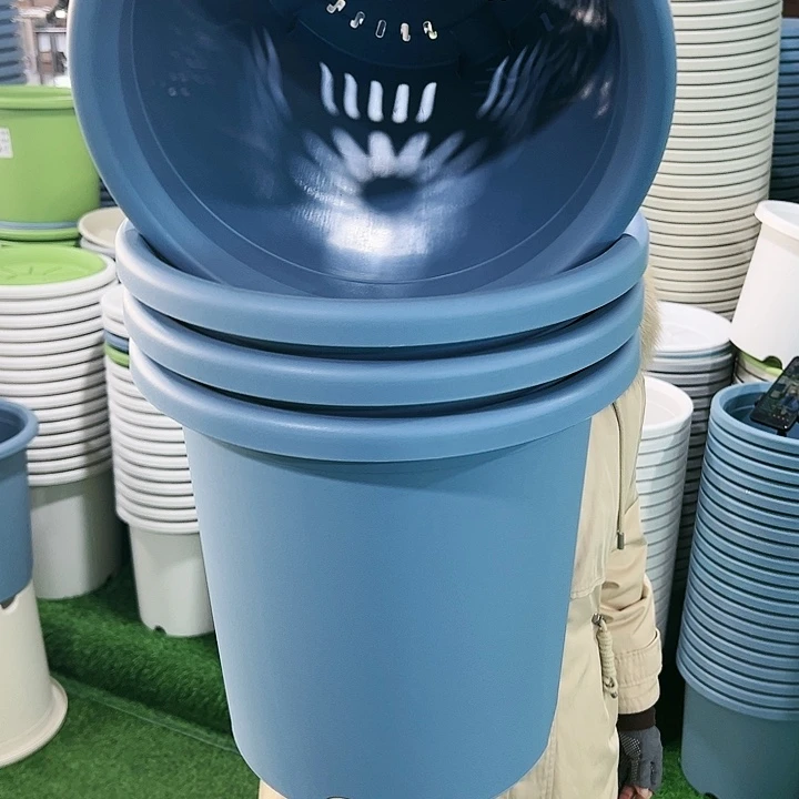 特价7号四季口33高33蓝色无托4只